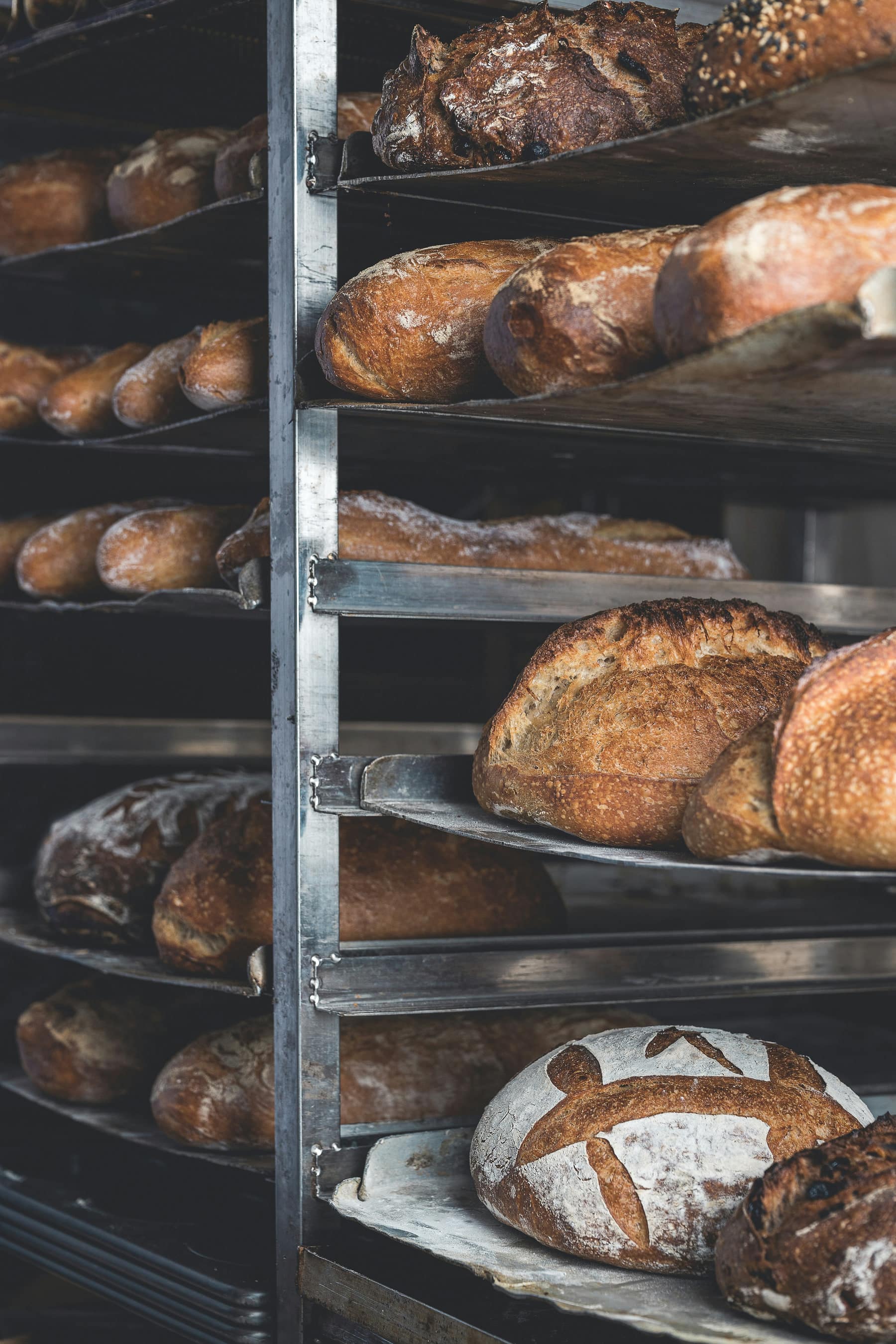 Pane appena sfornato sui carrelli di un forno